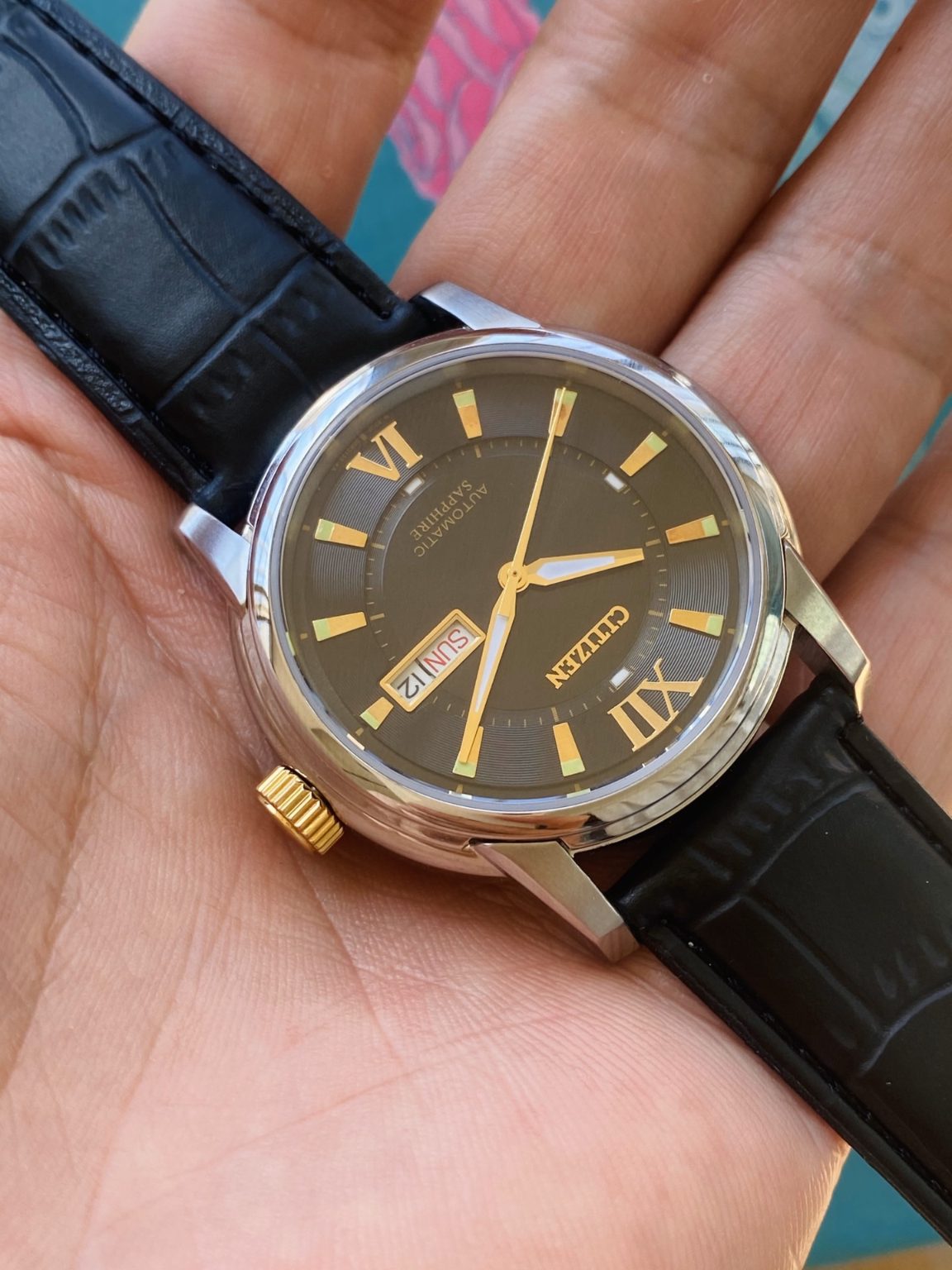 Citizen Men’s Automatic Watch Cal.8200 21 Jewels 40mm 178-0240